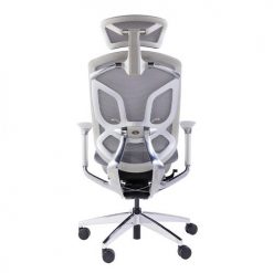 Ghế Ergonomic  Dvary Butterfly GTChair chính hãng bảo hành 12 năm