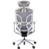 Ghế Ergonomic  Dvary Butterfly