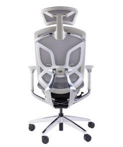 Ghế Ergonomic  Dvary Butterfly
