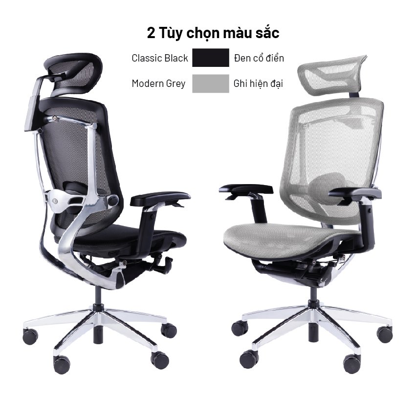 Màu sắc tùy chọn