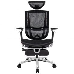 Ghế Công Thái Học Ergonomic ergoup elybay H24