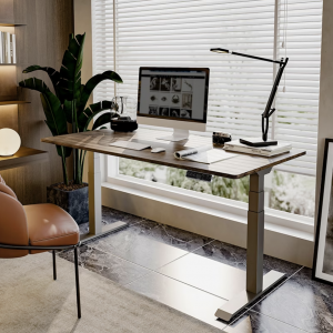 Bàn Làm Việc Đứng Flexispot - E7 Chính hãng thương hiệu số 1 tại Mỹ